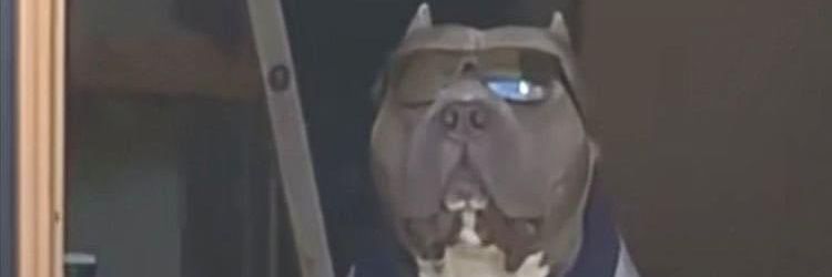 es_payo's profile banner image