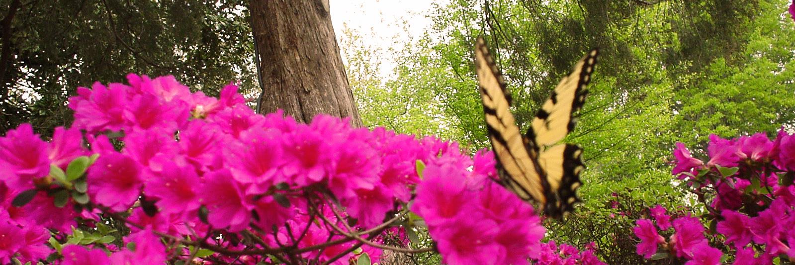 Visit Muskogee banner