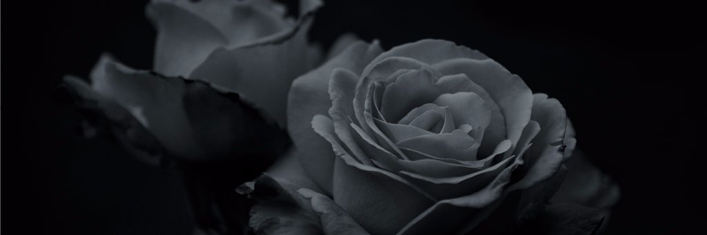 AfricanSalesCo's profile banner image