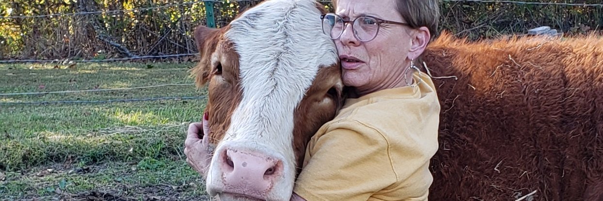 TracyGromley's profile banner image