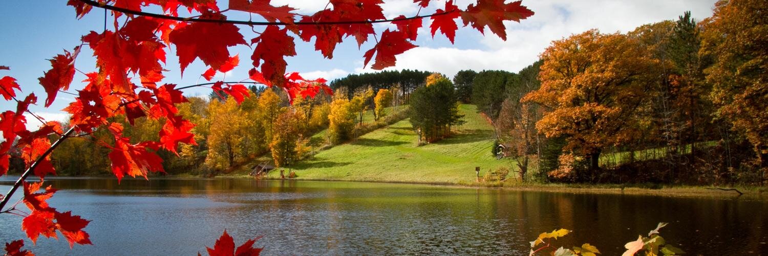 forestsprings's profile banner image