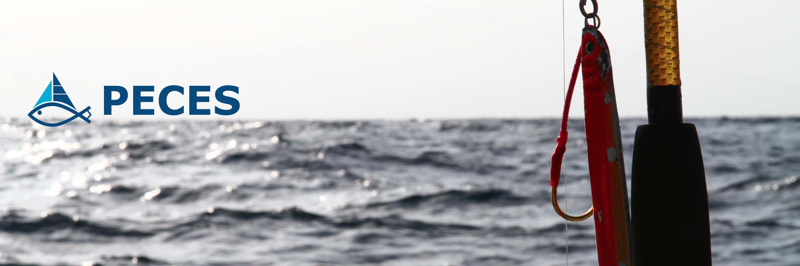 PecesProyecto's profile banner image