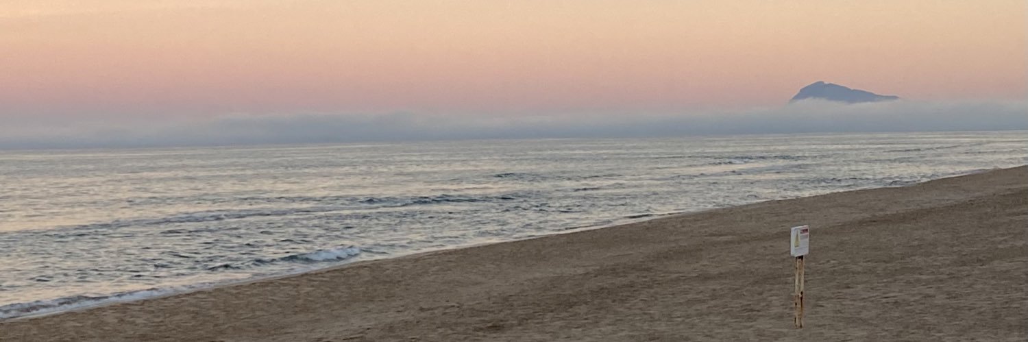 AlbaPellicer2's profile banner image