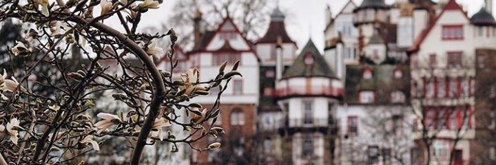 Lucilu_20's profile banner image