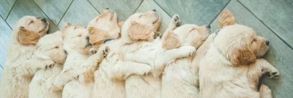 amy__jayne's profile banner image