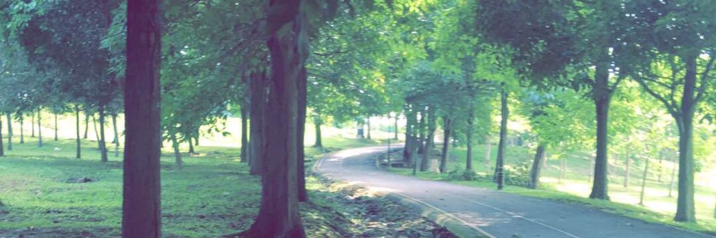 أروشآ🕊️ banner