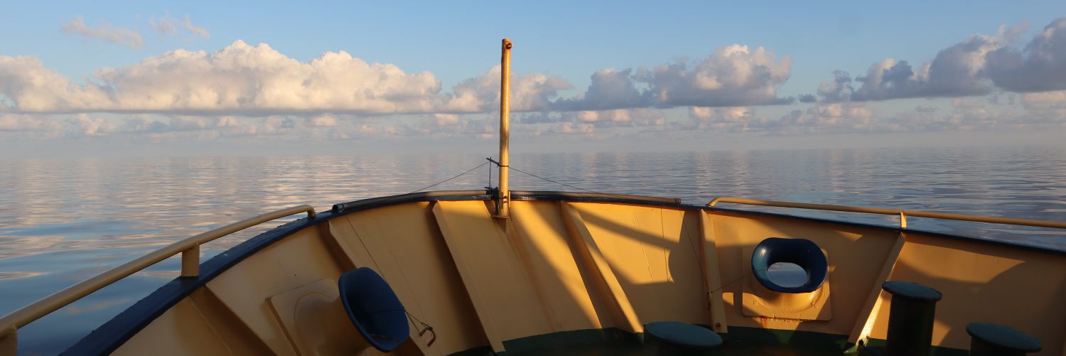 rovs_98's profile banner image