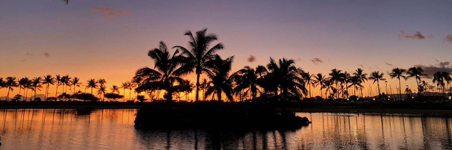 herbertmorales_'s profile banner image