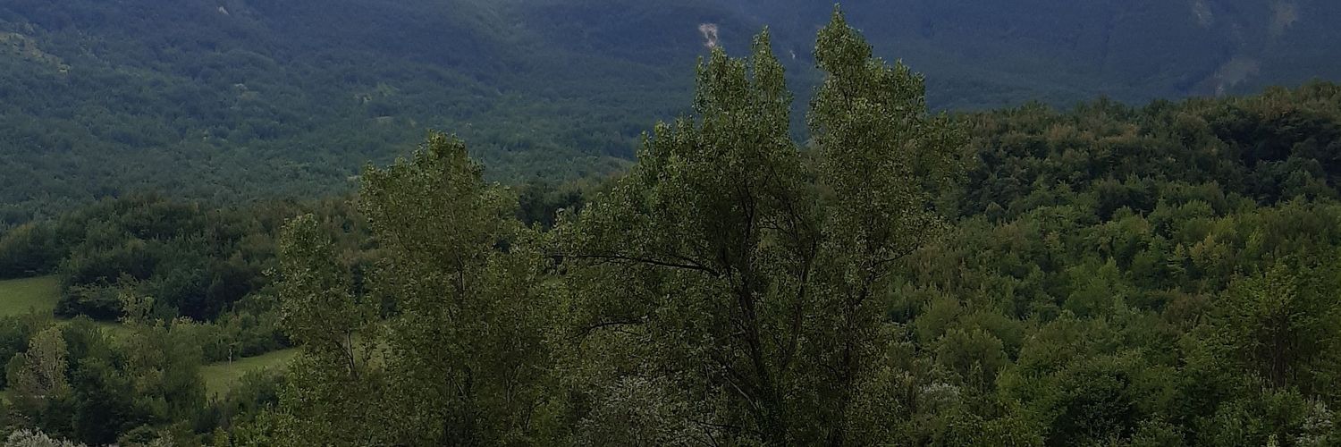 FrancescaCerve's profile banner image