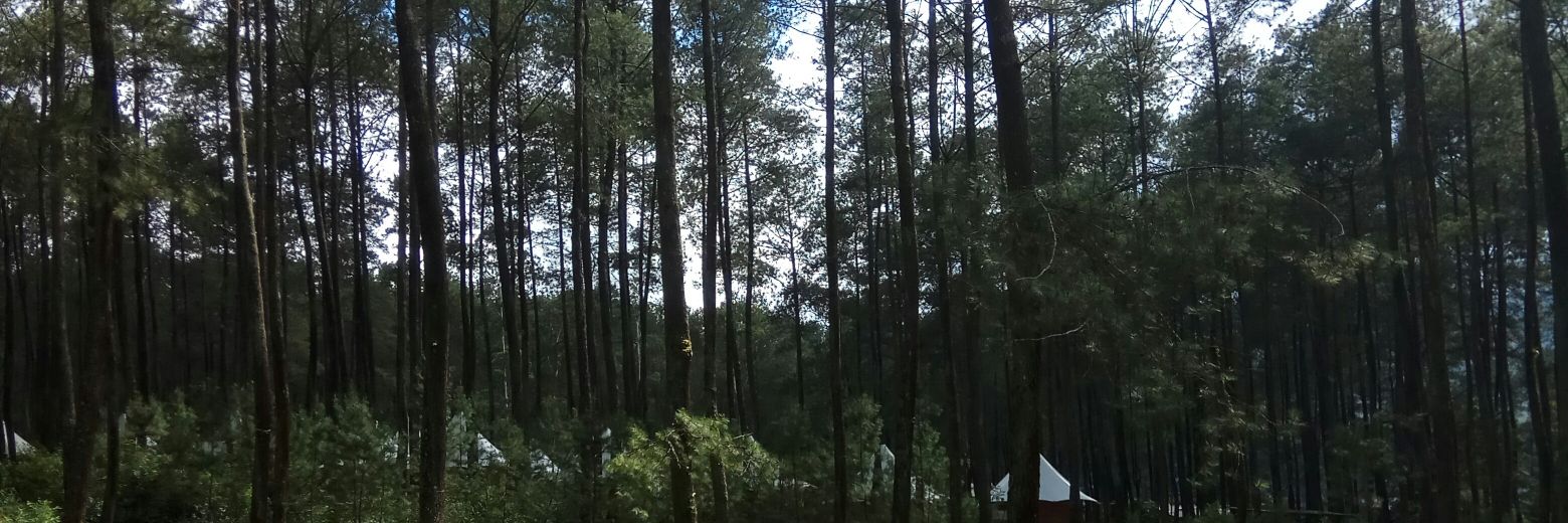 Jorgiparty's profile banner image