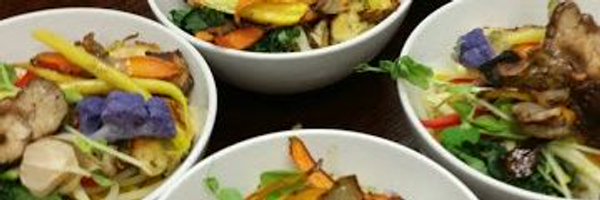 Elemental_88 Profile Banner