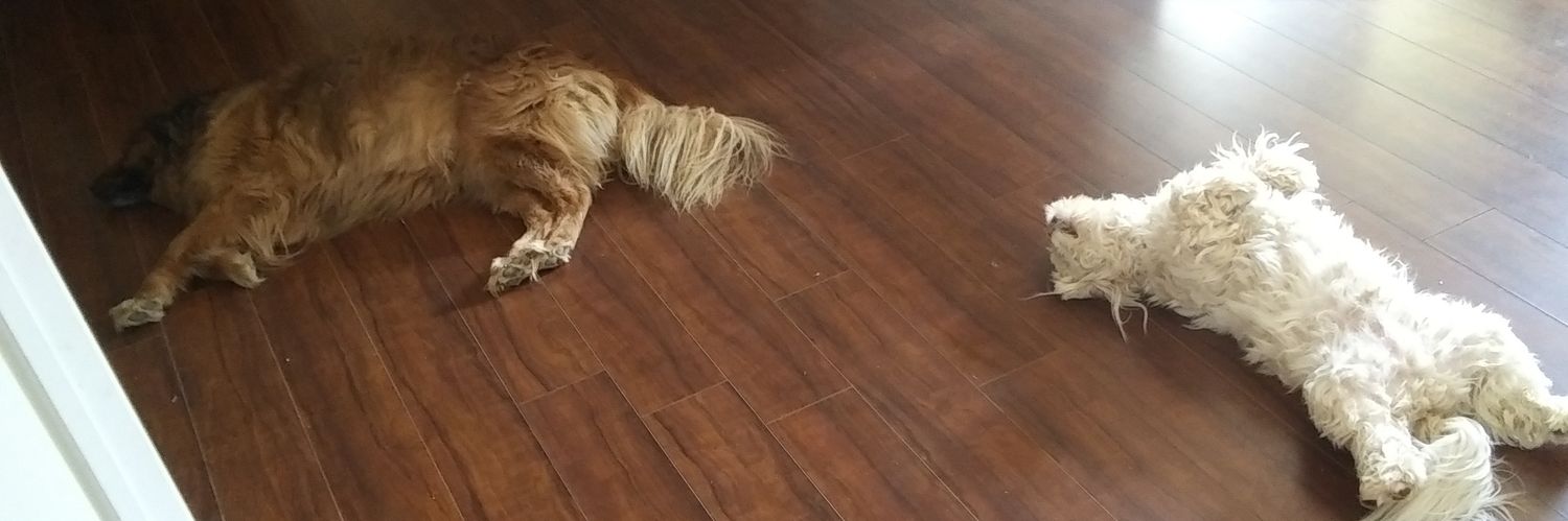 cocoah25's profile banner image