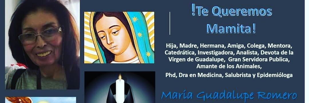 Gabriela Garay banner