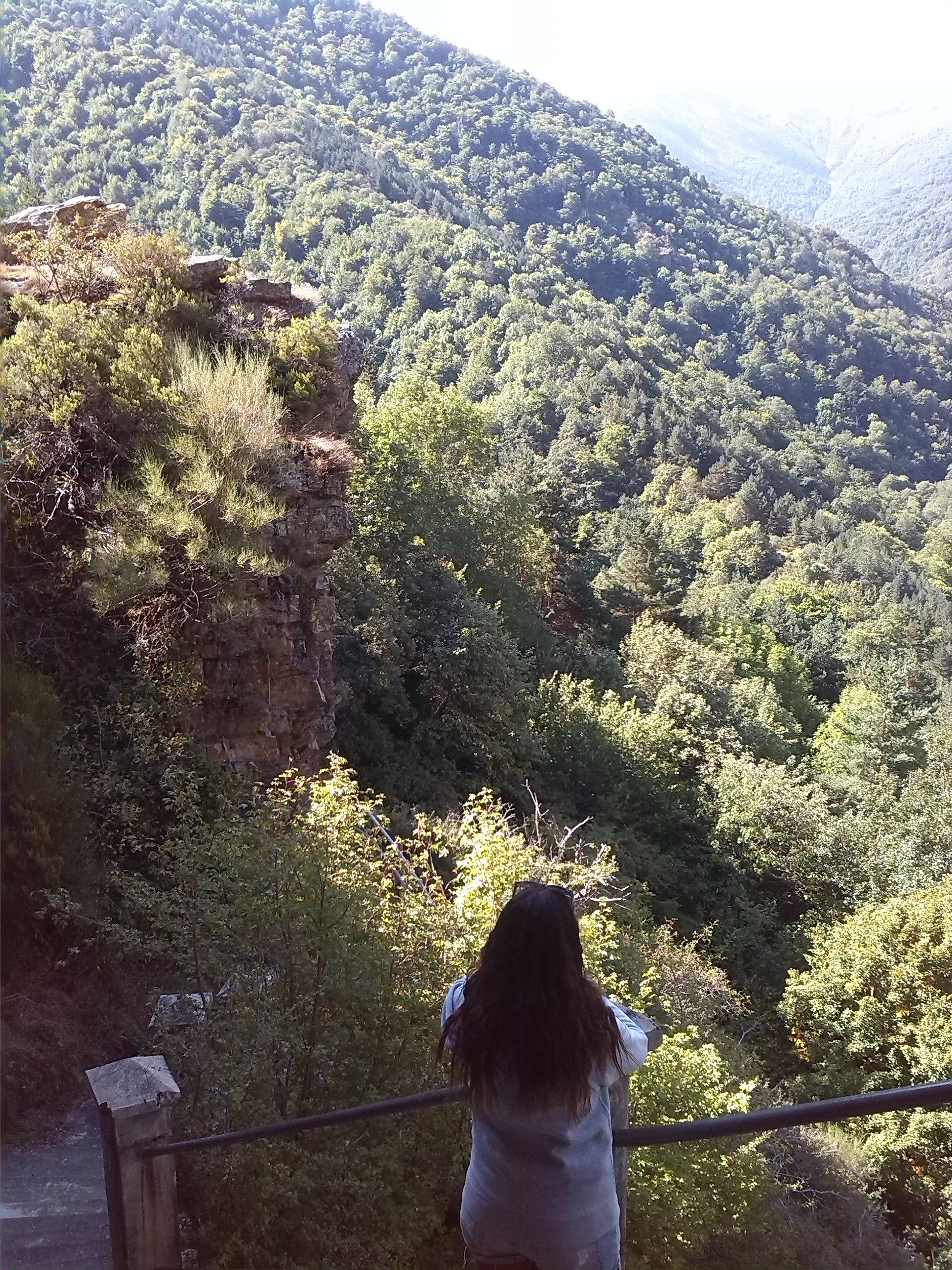 Alba_Alcaraz's profile banner image
