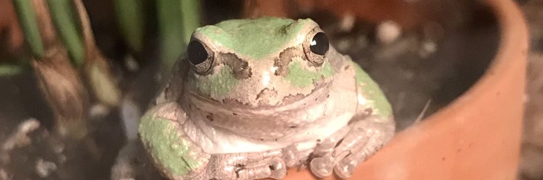 kerorero_'s profile banner image