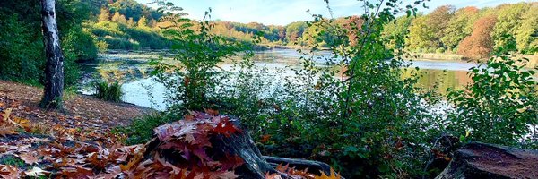 FrankKuipers67 Profile Banner