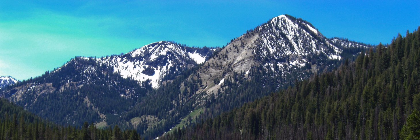 FishCascadia's profile banner image