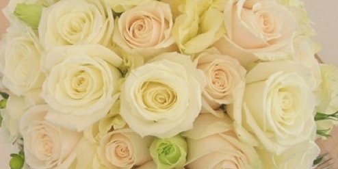 NicoleRobinso23's profile banner image
