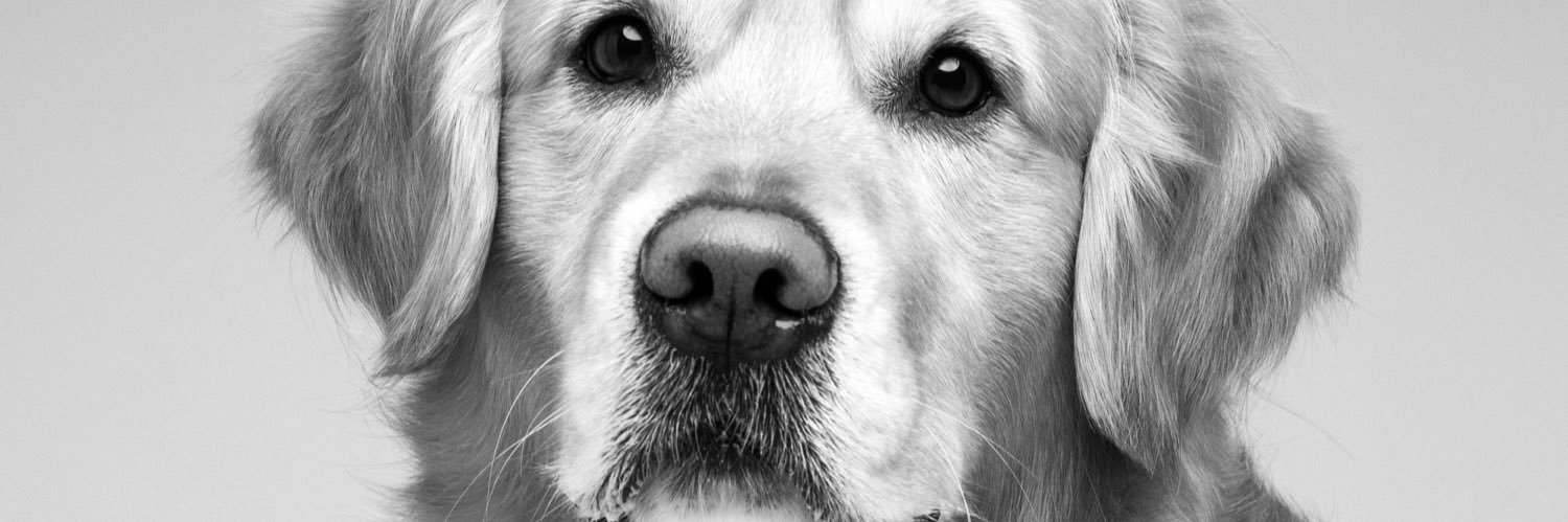 Diblansevilla banner