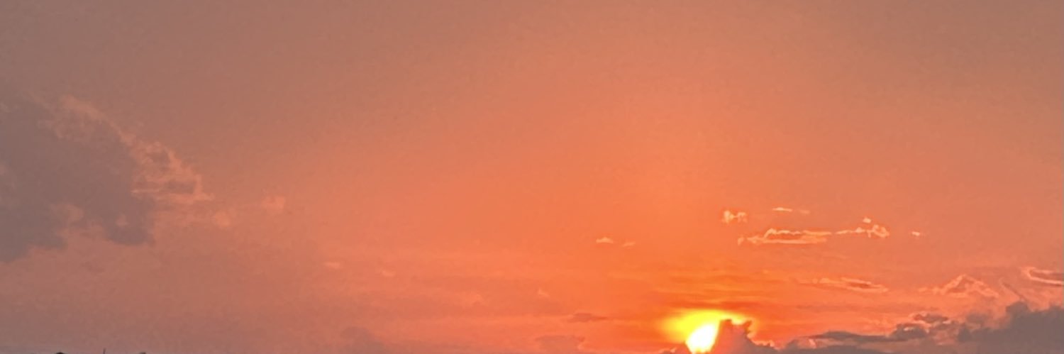 Susan Gregson banner