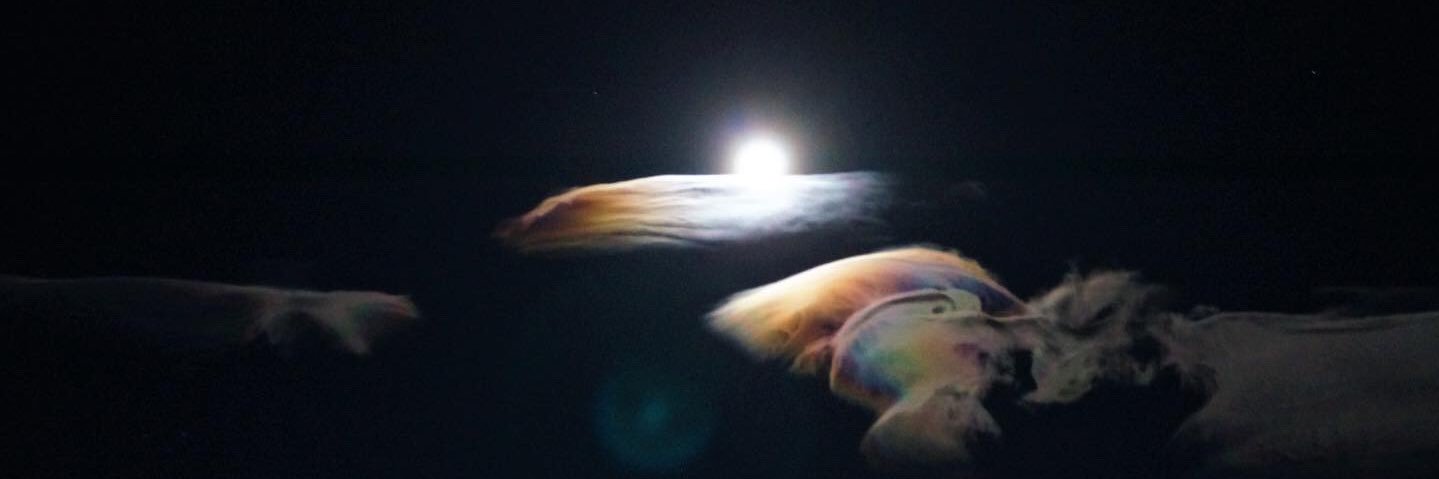 JeepVideoGirl's profile banner image