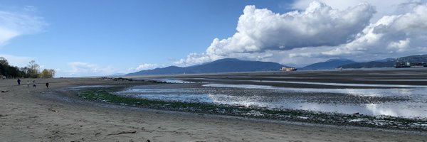 FionaWebster1 Profile Banner