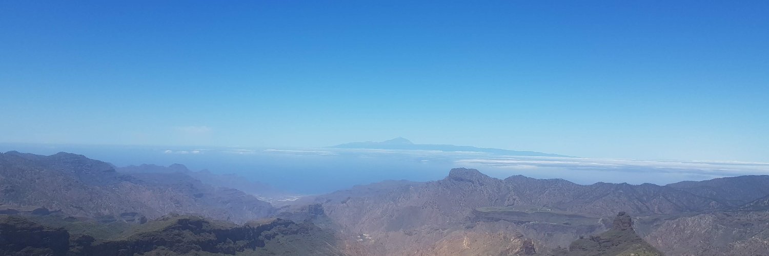 Francesca Frontini banner