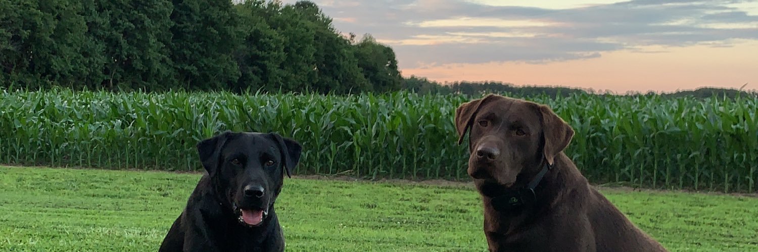 e_marie12's profile banner image