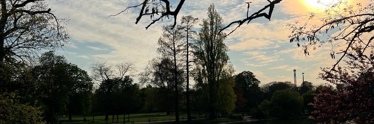 ranianona2's profile banner image