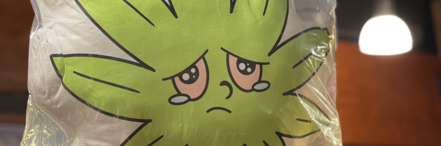 quesoflacko's profile banner image