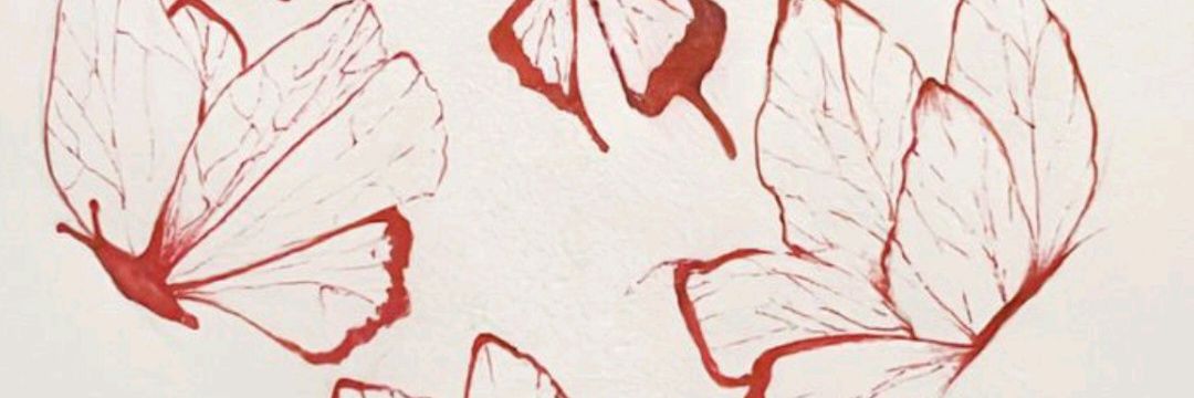 Vickyquiroga6's profile banner image
