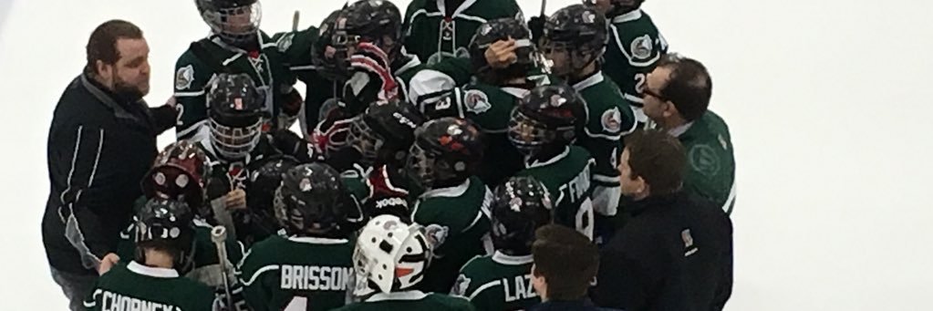🏒EDMONTON WILD🥅 banner