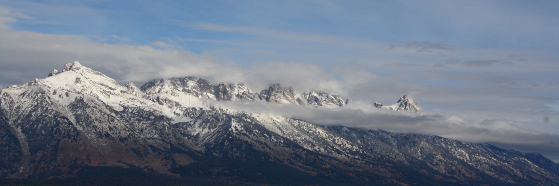 triprodgers's profile banner image