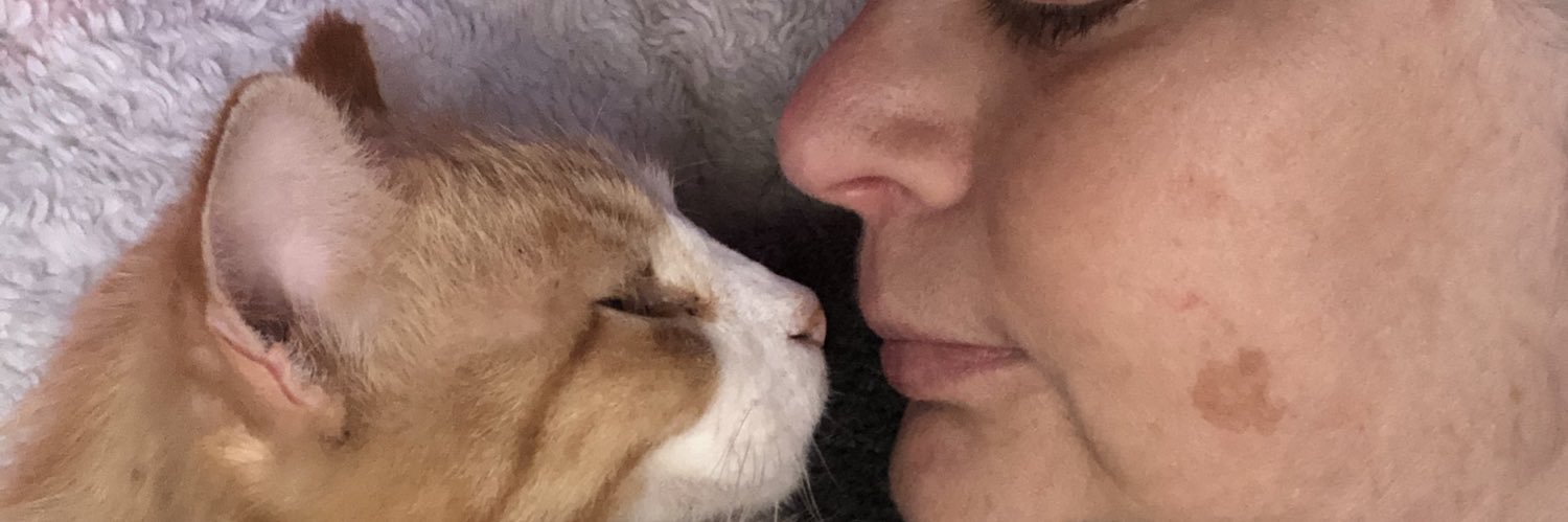 nichris71's profile banner image