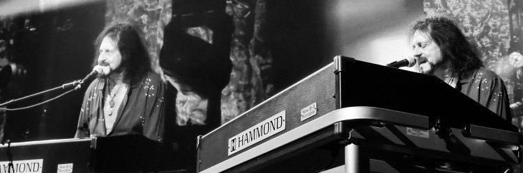 greggrolieband's profile banner image