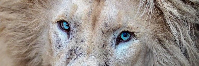 RyanMack8's profile banner image