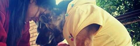 lorychena's profile banner image