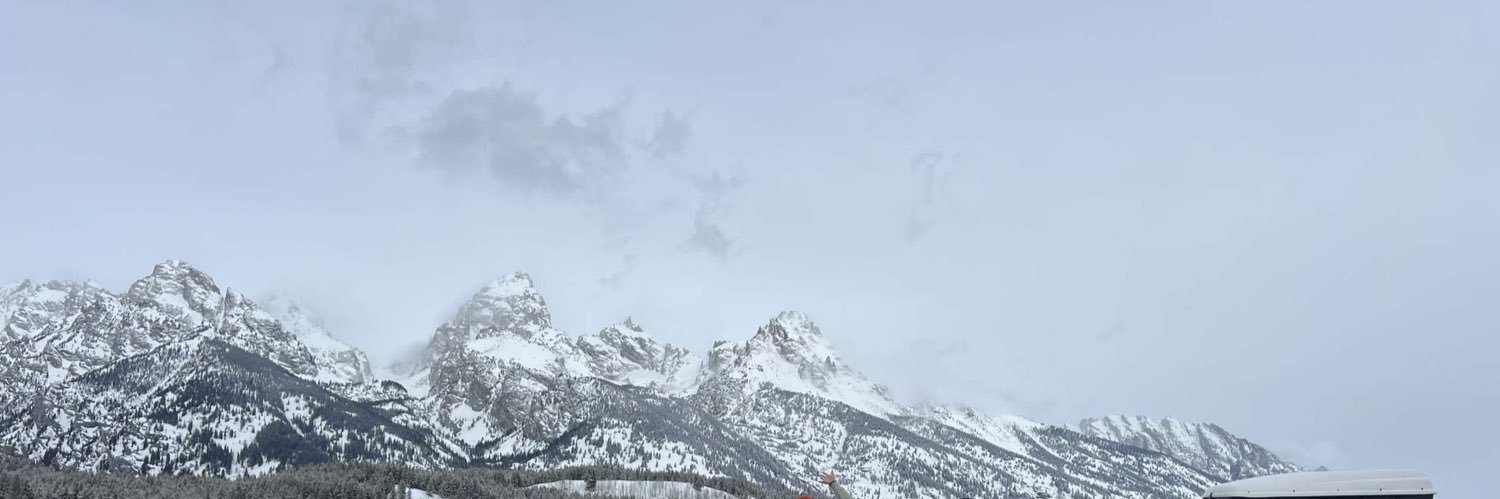 ellcven's profile banner image
