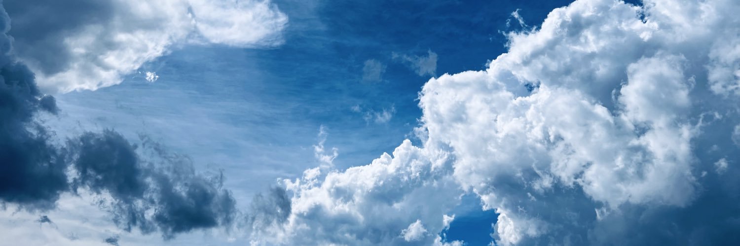 thebuffaloroam's profile banner image