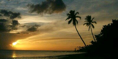 AidaMale1's profile banner image