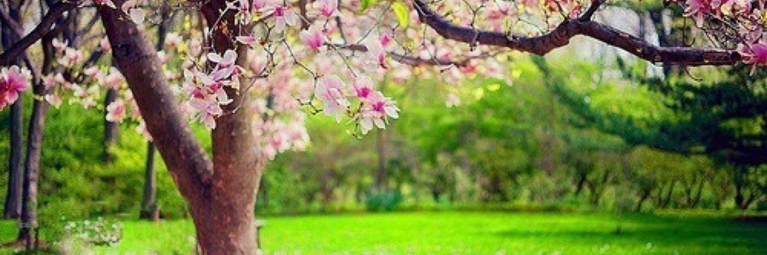 _s0sm's profile banner image