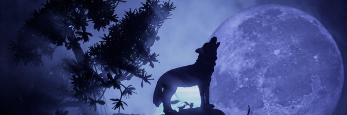 jadi_ufc's profile banner image