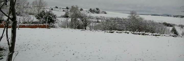 CazorroAguado's profile banner image