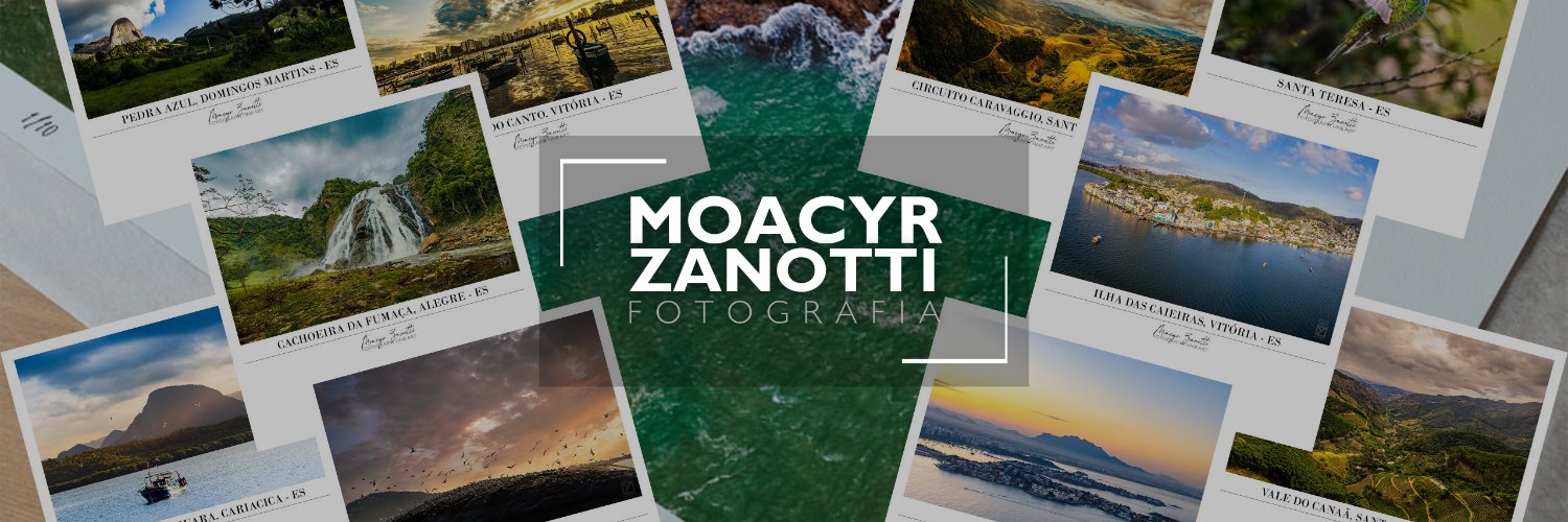 mzanotti's profile banner image