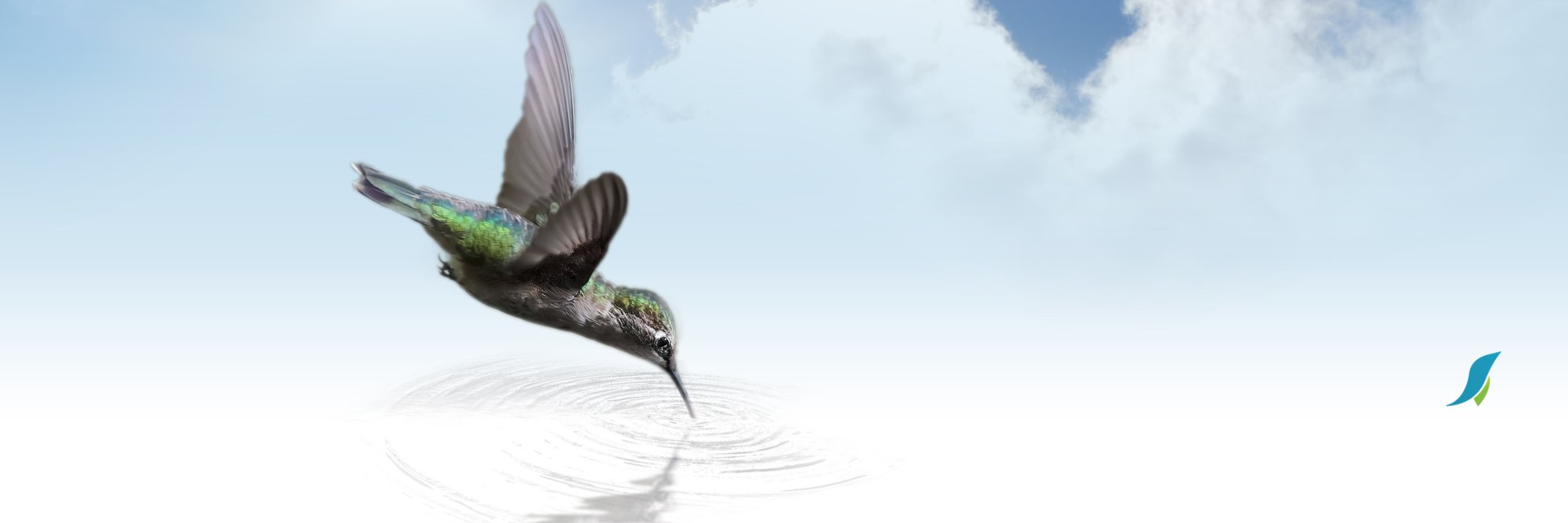 marcosunu's profile banner image