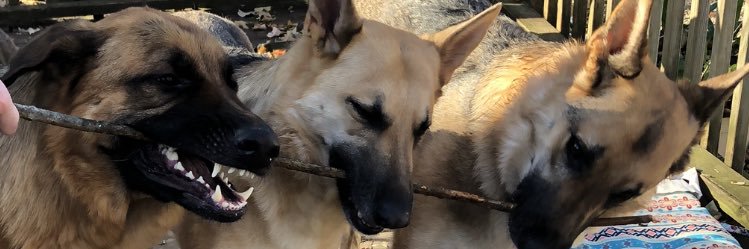 stacylag's profile banner image