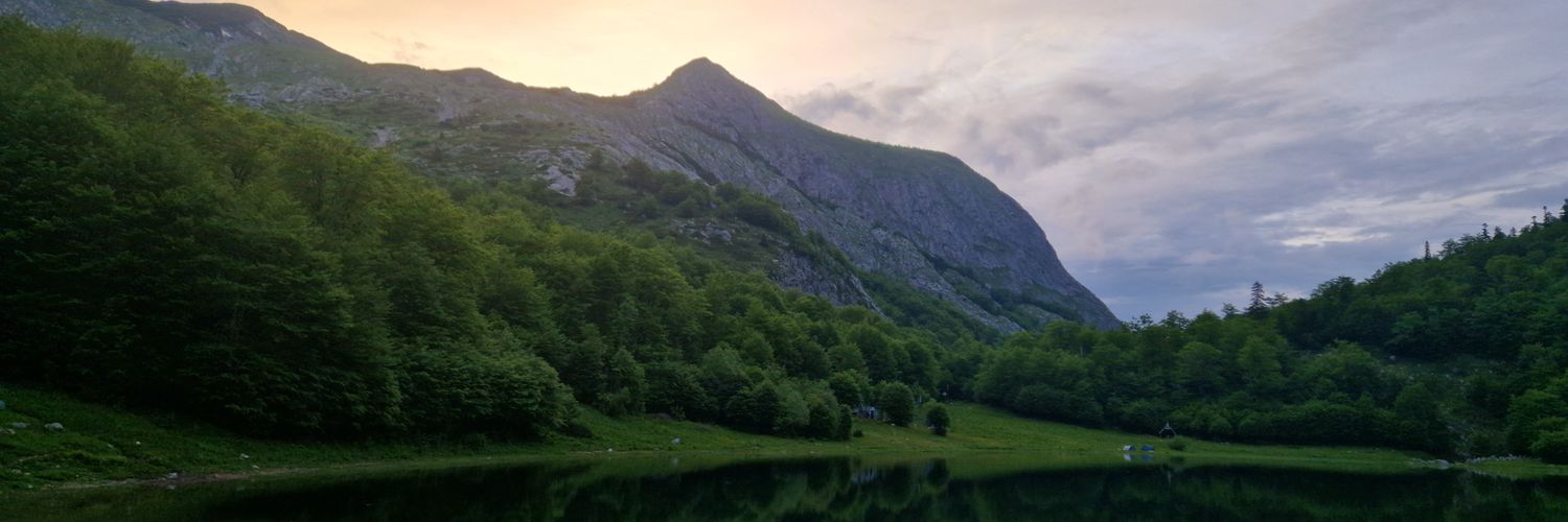 gojkosavic's profile banner image