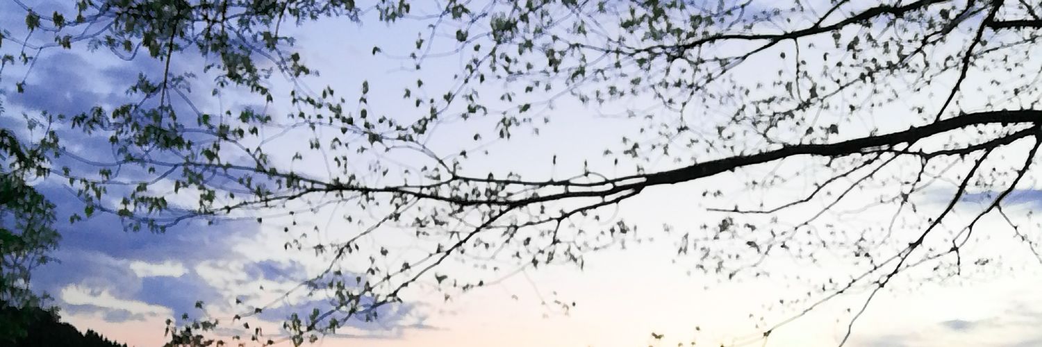 KatiMaci's profile banner image
