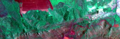 Prof. Gustavo Baptista banner