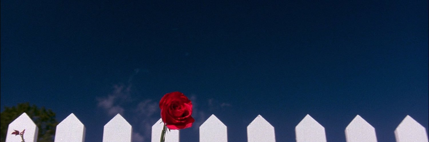 Romain Simmarano 🎗️'s banner